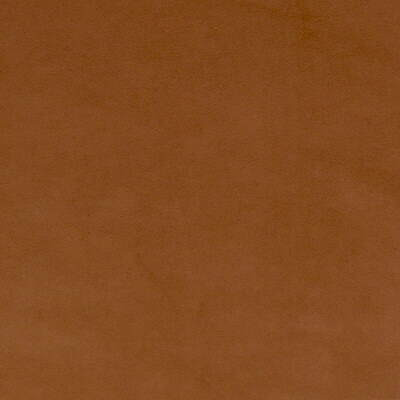 Forte Suede Aztec by Mulberry Fabric Mulberry Fabric Forte Suede AztecFabric CONCERTO SUEDE RECYCLED POLYESTER - 80%;POLYURETHANE - 20% Japan </p><p>Repeat: H: 0, V: 0 54 - Fabric Carolina -