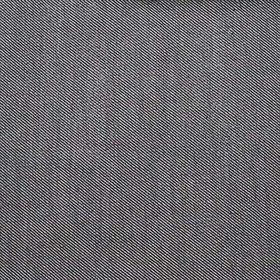 Victoria Acero/Blanco by Gaston Y Daniela Designer Fabric