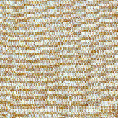 Uganda Arena by Gaston Y Daniela Designer Fabric