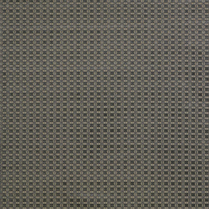 Ines Gris/Onyx by Gaston Y Daniela Designer Fabric