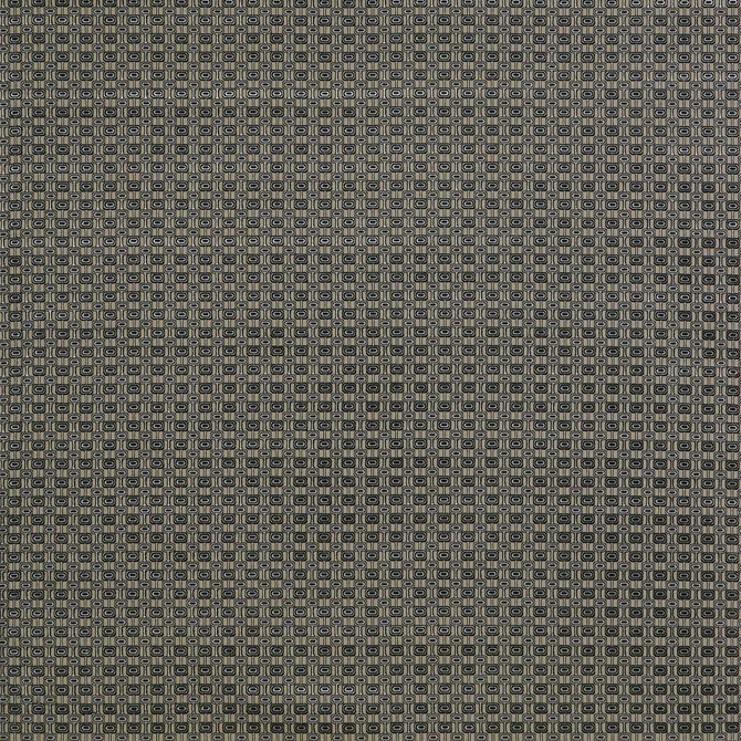 Ines Gris/Onyx by Gaston Y Daniela Designer Fabric LORENZO CASTILLO II VISCOSE - 59%;POLYESTER - 23%;COTTON - 18% Belgium MEDIUM Horizontal: 1.69 and Vertical: 1.3 55 - Swanky Fabrics -