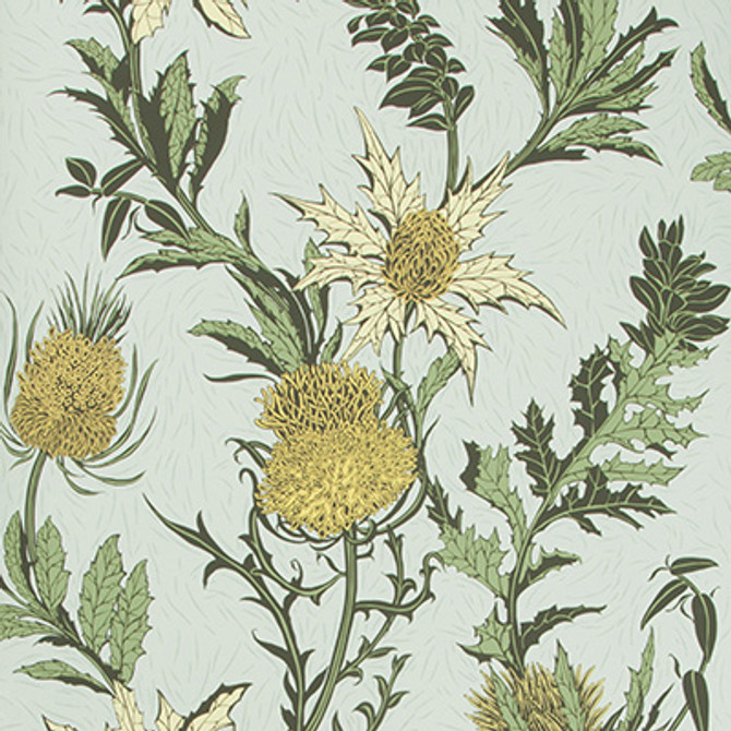 Thistle Lemon/Olive/D Egg by Cole & Son Designer Wallcovering