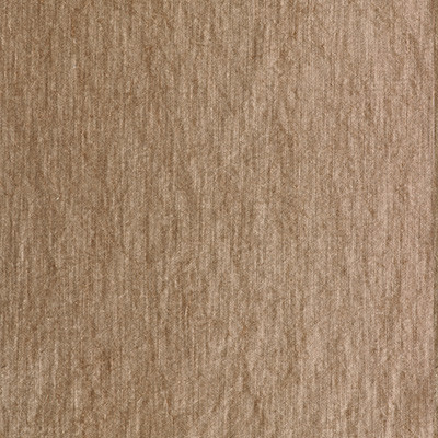 Santianes Tostado by Gaston Y Daniela Designer Fabric