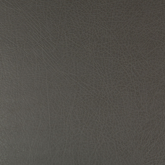 Deimos-21 by Kravet Design Designer Fabric POLYESTER - 51%;POLYURETHANE - 49% China HEAVY Horizontal: and Vertical: 54 - Swanky Fabrics -