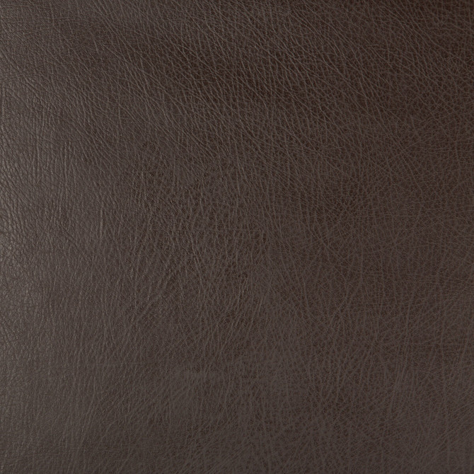 Deimos-66 by Kravet Design Designer Fabric - POLYESTER - 51%;POLYURETHANE - 49% China HEAVY Horizontal: - and Vertical: - 54 - Swanky Fabrics -