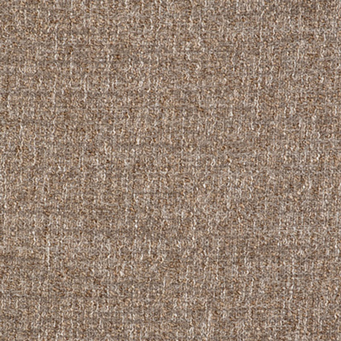 Telar Beige by Gaston Y Daniela Designer Fabric