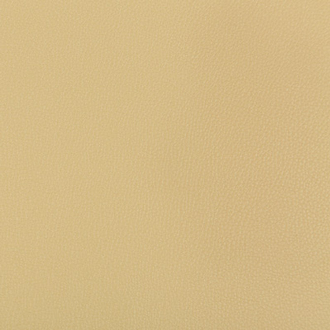 Syrus Sesame by Kravet Contract Designer Fabric