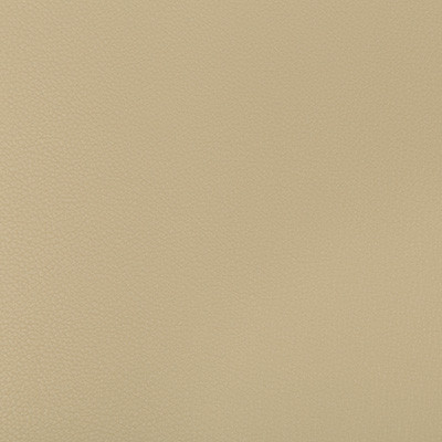 Syrus Stucco by Kravet Contract Designer Fabric