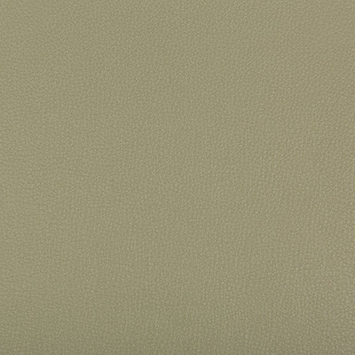 Syrus Sage by Kravet Contract Designer Fabric