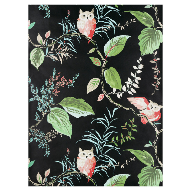 Owlish Black by Kravet Design Wallcovering Kravet Design Wallcovering Owlish BlackWallcovering KATE SPADE WHIMSIES PAPER - 100% United States </p><p>Repeat: H: 27, V: 27 27 - Fabric Carolina -