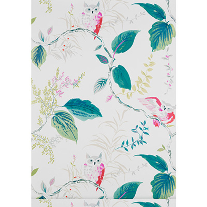 Owlish Multi by Kravet Design Designer Wallcovering