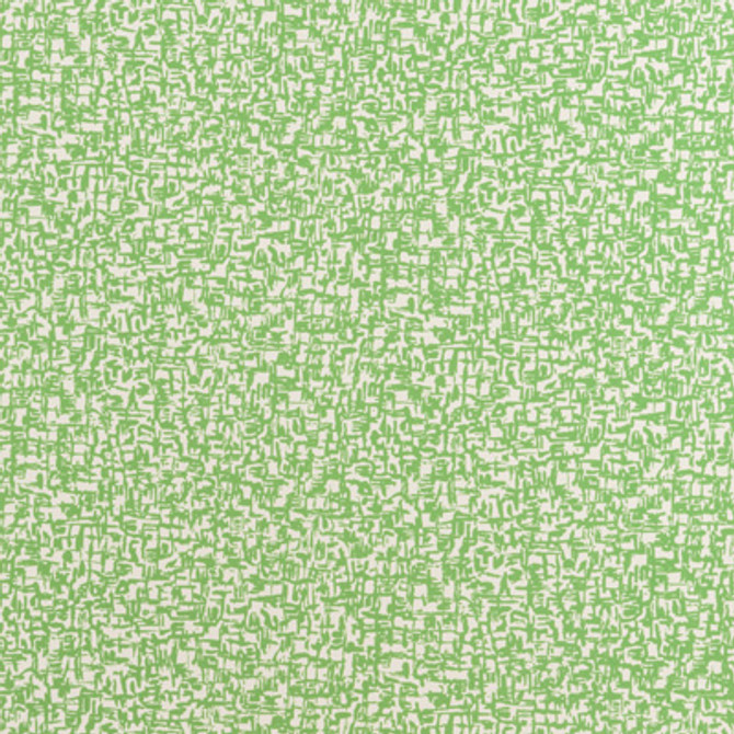Scribble Picnic Green by Kravet Design Designer Wallcovering