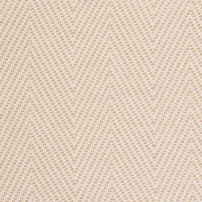 Gran Espiga Blanco by Gaston Y Daniela Designer Fabric