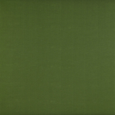 Recoletos Verde by Gaston Y Daniela Designer Fabric