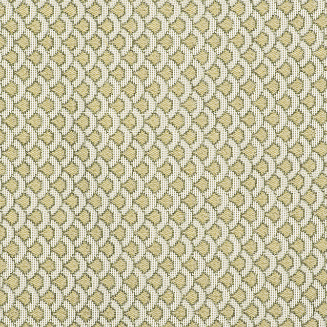 Ondas Verde by Gaston Y Daniela Designer Fabric GASTON LIBRERIA POLYOLEFIN FR - 69%;POLYESTER FR - 31% Italy HEAVY Horizontal: 0.98 and Vertical: 0.79 55 - Swanky Fabrics -