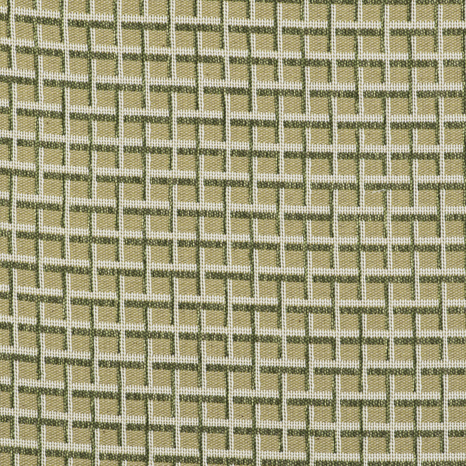 Rejas Verde by Gaston Y Daniela Designer Fabric GASTON LIBRERIA POLYOLEFIN FR - 69%;POLYESTER FR - 31% Italy HEAVY Horizontal: 2.44 and Vertical: 1.42 55 - Swanky Fabrics -