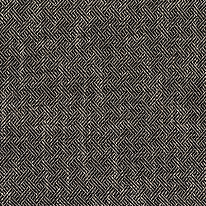 Enea Negro by Gaston Y Daniela Designer Fabric