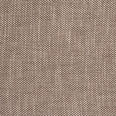 Acacia Tostado by Gaston Y Daniela Designer Fabric