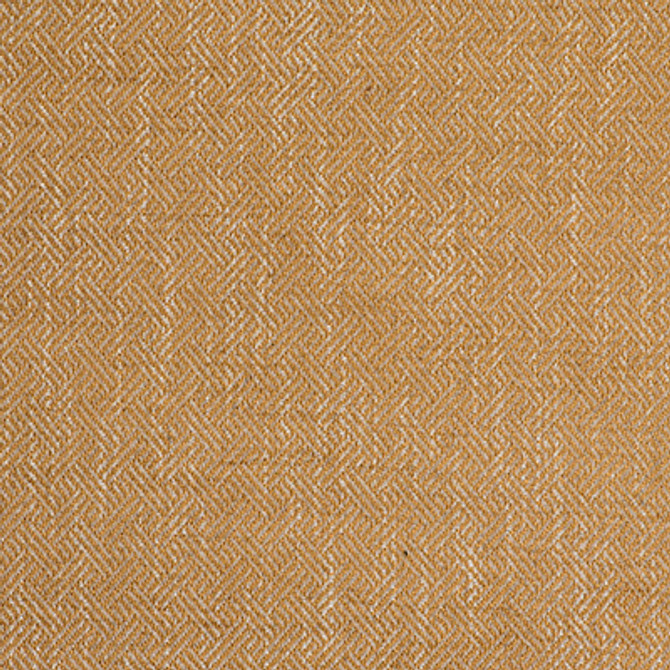 Enea Oro by Gaston Y Daniela Designer Fabric
