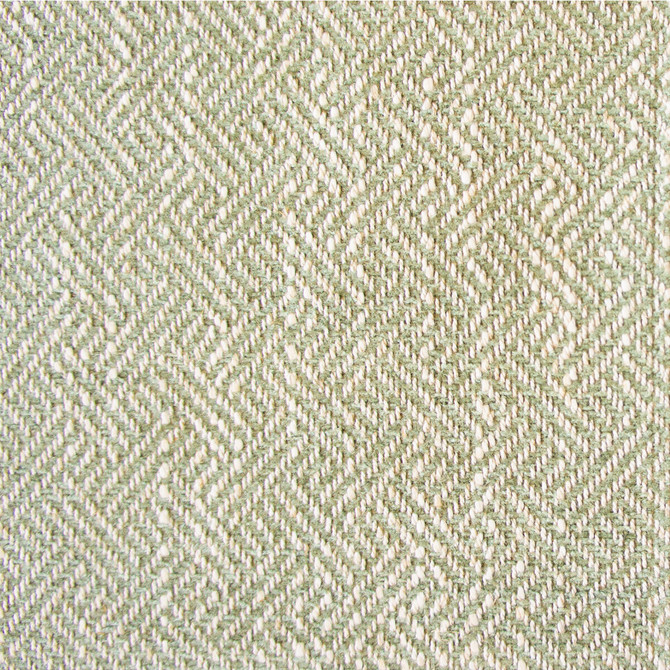 Enea Verde Claro by Gaston Y Daniela Designer Fabric GASTON LIBRERIA VISCOSE - 52%;COTTON - 23%;LINEN - 14%;POLYESTER - 11% Belgium HEAVY Horizontal: 0.91 and Vertical: 1.1 54 - Swanky Fabrics -