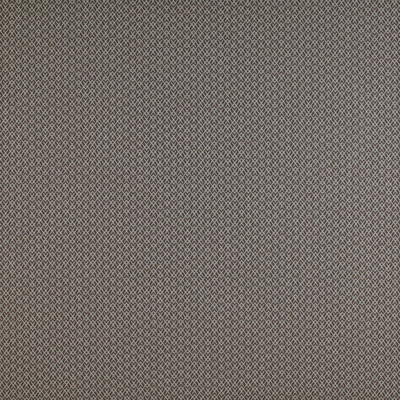 Chueca Marron by Gaston Y Daniela Designer Fabric