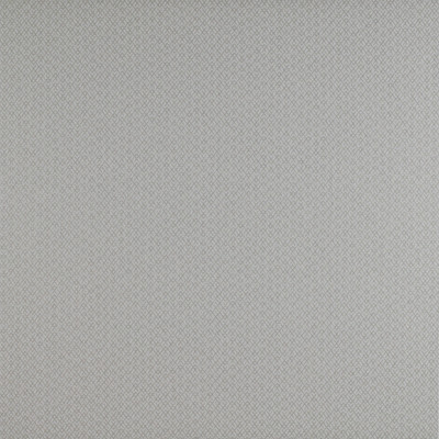 Chueca Crudo by Gaston Y Daniela Designer Fabric