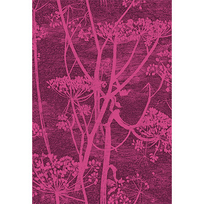 Cow Parsley Magnta Plm by Cole & Son Designer Fabric