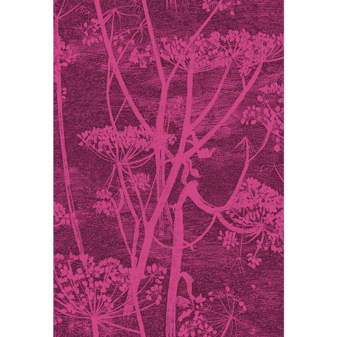 Cow Parsley Magnta Plm by Cole & Son Designer Fabric COLE & SON CONTEMPORARY FABRICS COTTON - 66%;VISCOSE - 31%;POLYESTER - 3% Italy HEAVY Horizontal: 17.33 and Vertical: 25.4 52 - Swanky Fabrics -