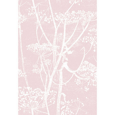 Cow Parsley Wht Balle Slip by Cole & Son Designer Fabric