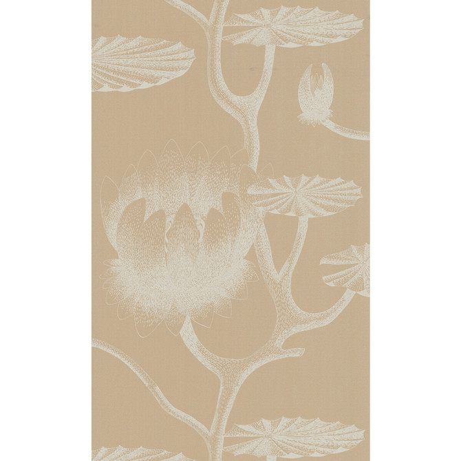 Lily Ivory/Sand by Cole & Son Designer Wallcovering COLE & SON NEW CONTEMPORARY II PAPER - 100% United Kingdom Horizontal: and Vertical: 20.5 - Swanky Fabrics -