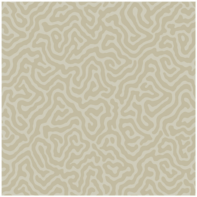 Coral Pale Stone by Cole & Son Wallcovering Cole & Son Wallcovering Coral Pale StoneWallcovering COLE & SON LANDSCAPE PLAINS PAPER - 100% United Kingdom </p><p>Repeat: H: , V: 4.2 20.5 - Fabric Carolina -