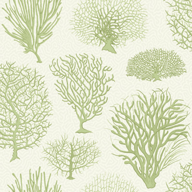 Seafern Soft Green by Cole & Son Designer Wallcovering