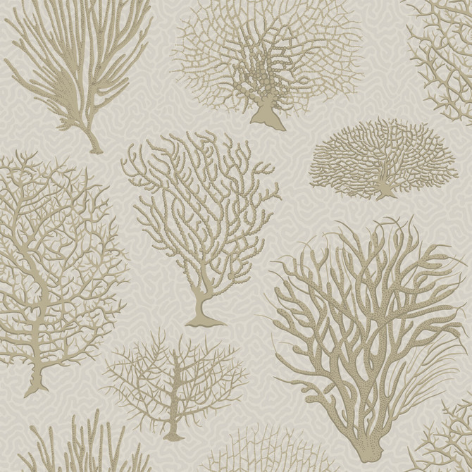 Seafern Stone by Cole & Son Wallcovering Cole & Son Wallcovering Seafern StoneWallcovering COLE & SON CURIO PAPER - 100% United Kingdom </p><p>Repeat: H: , V: 20.5 20.5 - Fabric Carolina -