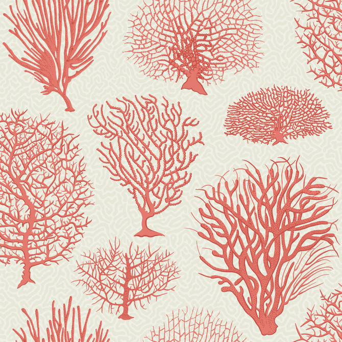 Seafern Coral by Cole & Son Wallcovering Cole & Son Wallcovering Seafern CoralWallcovering COLE & SON CURIO PAPER - 100% United Kingdom </p><p>Repeat: H: , V: 20.5 20.5 - Fabric Carolina -
