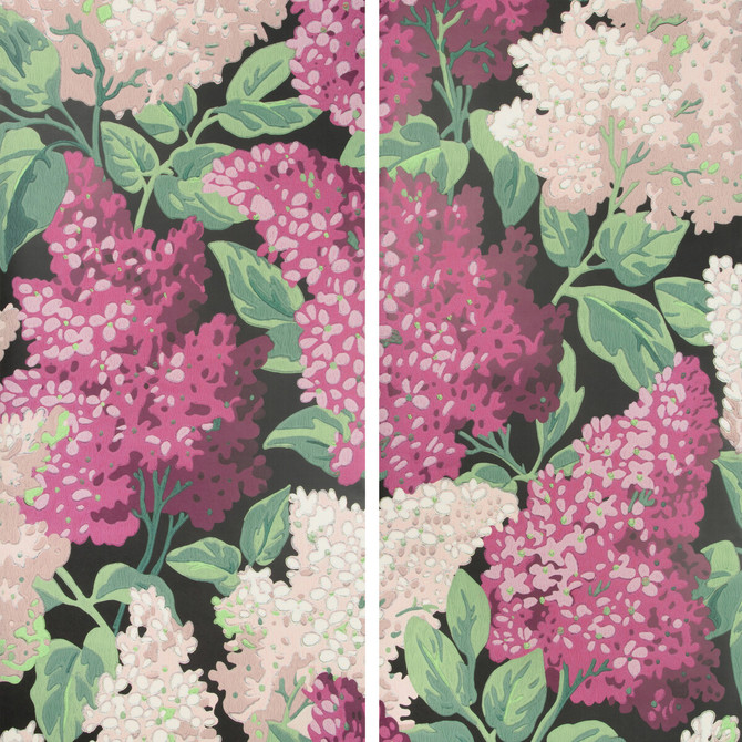 Lilac Grandiflora M/B/C by Cole & Son Designer Wallcovering COLE & SON BOTANICAL BOTANICA PAPER - 100% United Kingdom Horizontal: and Vertical: 68.6 55 - Swanky Fabrics -