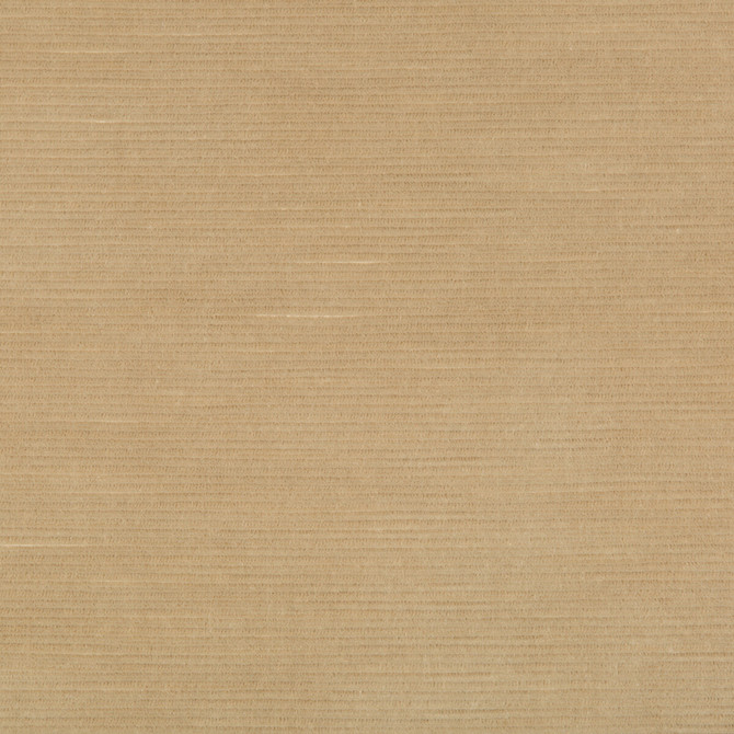 Gemma Velvet Sand by Lee Jofa Designer Fabric GEMMA PERFORMANCE VELVET POLYESTER - 100% Italy HEAVY Horizontal: 0 and Vertical: 0 55 - Swanky Fabrics -