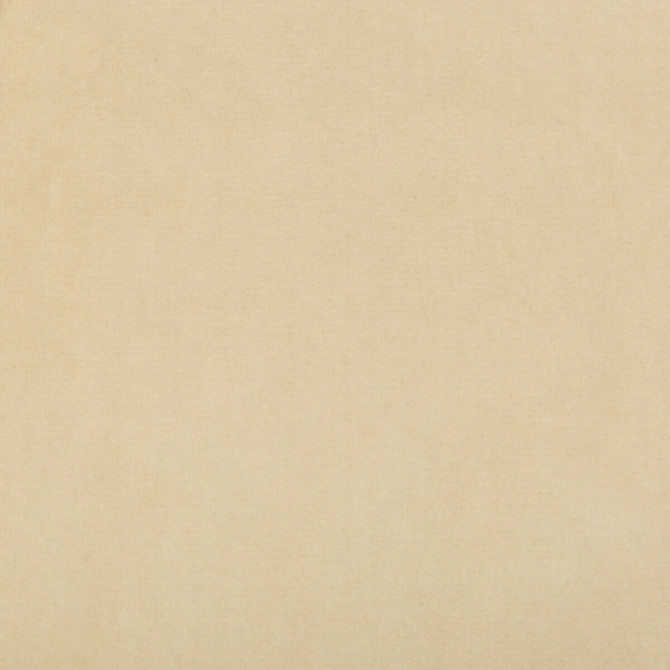 35366-1116 by Kravet Design Designer Fabric COTTON - 100% Netherlands HEAVY Horizontal: 0 and Vertical: 0 55 - Swanky Fabrics -