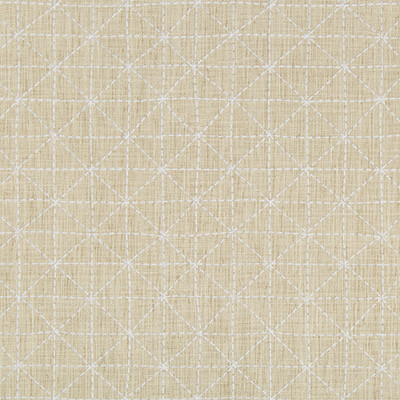 Appointed Papyrus by Kravet Design Designer Fabric