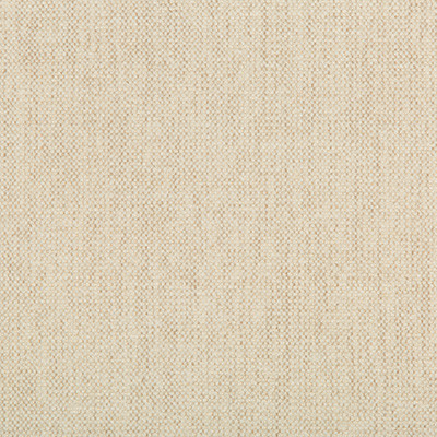 Kravet Smart 35393-111 by Kravet Smart Designer Fabric