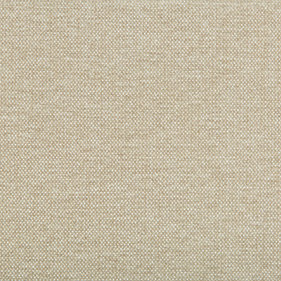 Kravet Smart 35393-116 by Kravet Smart Designer Fabric