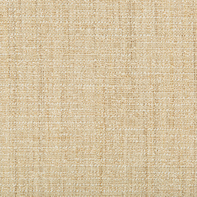 Kravet Smart 35396-14 by Kravet Smart Designer Fabric