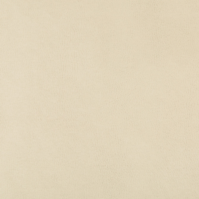 Dust-116 by Kravet Design Designer Fabric POLYURETHANE - 100% China HEAVY Horizontal: and Vertical: 54 - Swanky Fabrics -