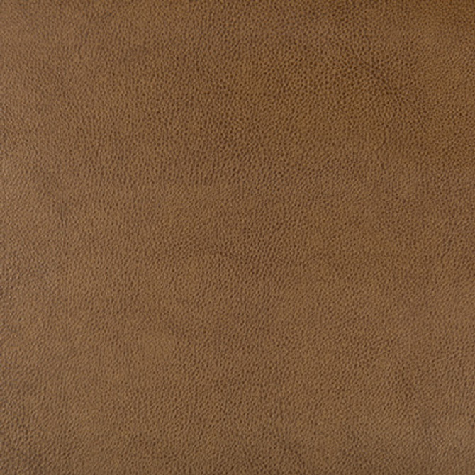 Kravet Design Dust-616 by Kravet Design Designer Fabric