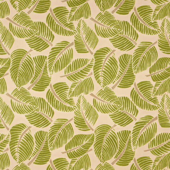 Costa Rica Leaf 176190 by Schumacher Fabric Schumacher Fabric Costa Rica Leaf 176190Fabric COTTON 100% ITALY </p><p>Repeat: H: HORZ. 55" (140CM) , V: VERT. 47" (119CM) 55 - Fabric Carolina -