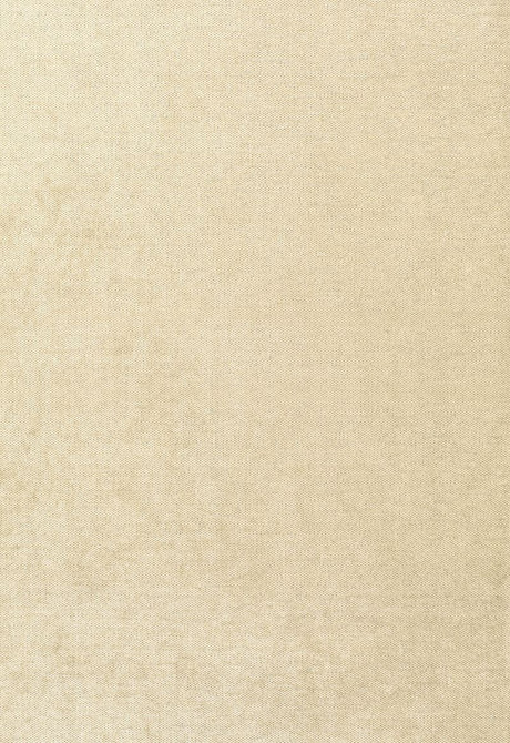 Glimmer Champagne 62637 by Schumacher Designer Fabric Chroma 48% Viscose, 28% Polyester, 24% Cotton Martindale 15,000 Horizontal: - and Vertical: - 54 - Swanky Fabrics -