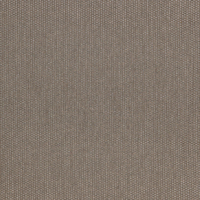 Times Square Coal 66980 by Schumacher Fabric Schumacher Fabric Times Square Coal 66980Fabric POLYPROPYLENE 100% ITALY </p><p>Repeat: H: HORZ. 1/4" (1CM) , V: VERT. 1/4" (1CM) 55 - Fabric Carolina -