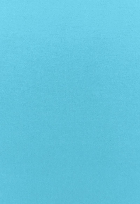 Sophia Velvet Capri 68178 by Schumacher Designer Fabric Sophia-Velvet 61% Cotton, 39% Modal Wyzenbeek 20,000 Horizontal: - and Vertical: - 55 - Swanky Fabrics -