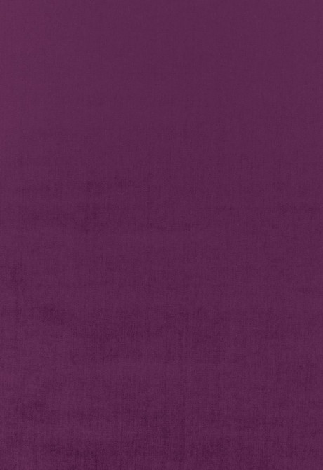 Sophia Velvet Parma 68171 by Schumacher Designer Fabric Sophia-Velvet 61% Cotton, 39% Modal Wyzenbeek 20,000 Horizontal: - and Vertical: - 55 - Swanky Fabrics -