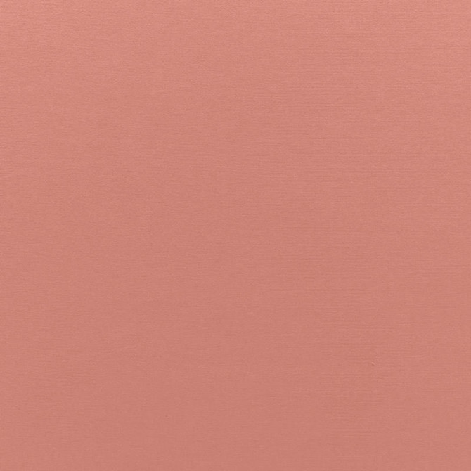 Sophia Velvet Tea Rose 68148 by Schumacher Fabric Schumacher Fabric Sophia Velvet Tea Rose 68148Fabric COTTON 61% NETHERLANDS </p><p>Repeat: H: , V: 55 - Fabric Carolina -