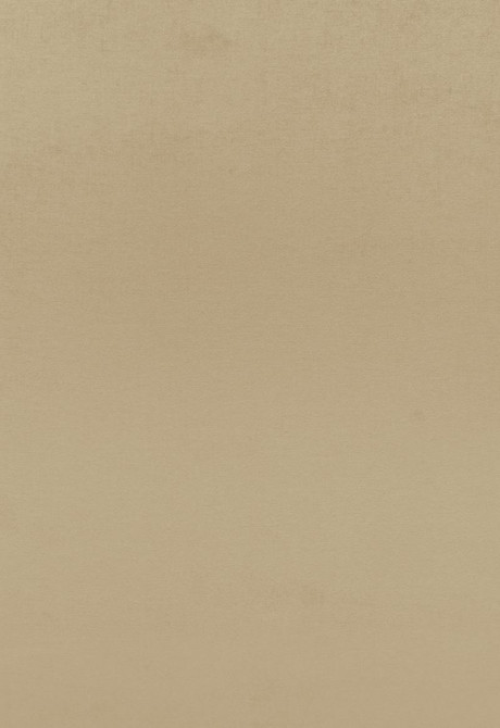 Sophia Velvet Driftwood 68135 by Schumacher Designer Fabric Sophia-Velvet 61% Cotton, 39% Modal Wyzenbeek 20,000 Horizontal: - and Vertical: - 55 - Swanky Fabrics -